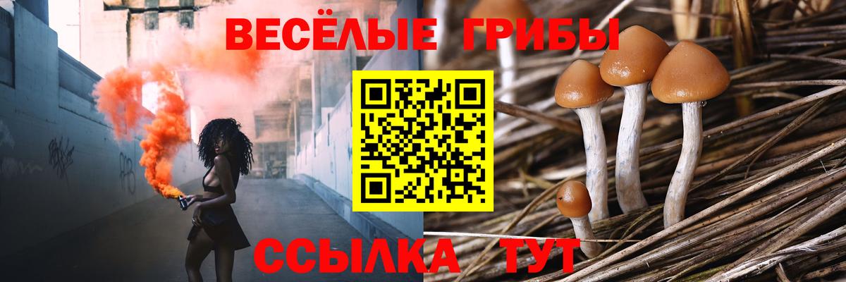 Лабытнанги  Псилоцибиновые грибы Cubensis  Вход с VPN 